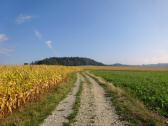  Blick auf die Wanderstrecke 